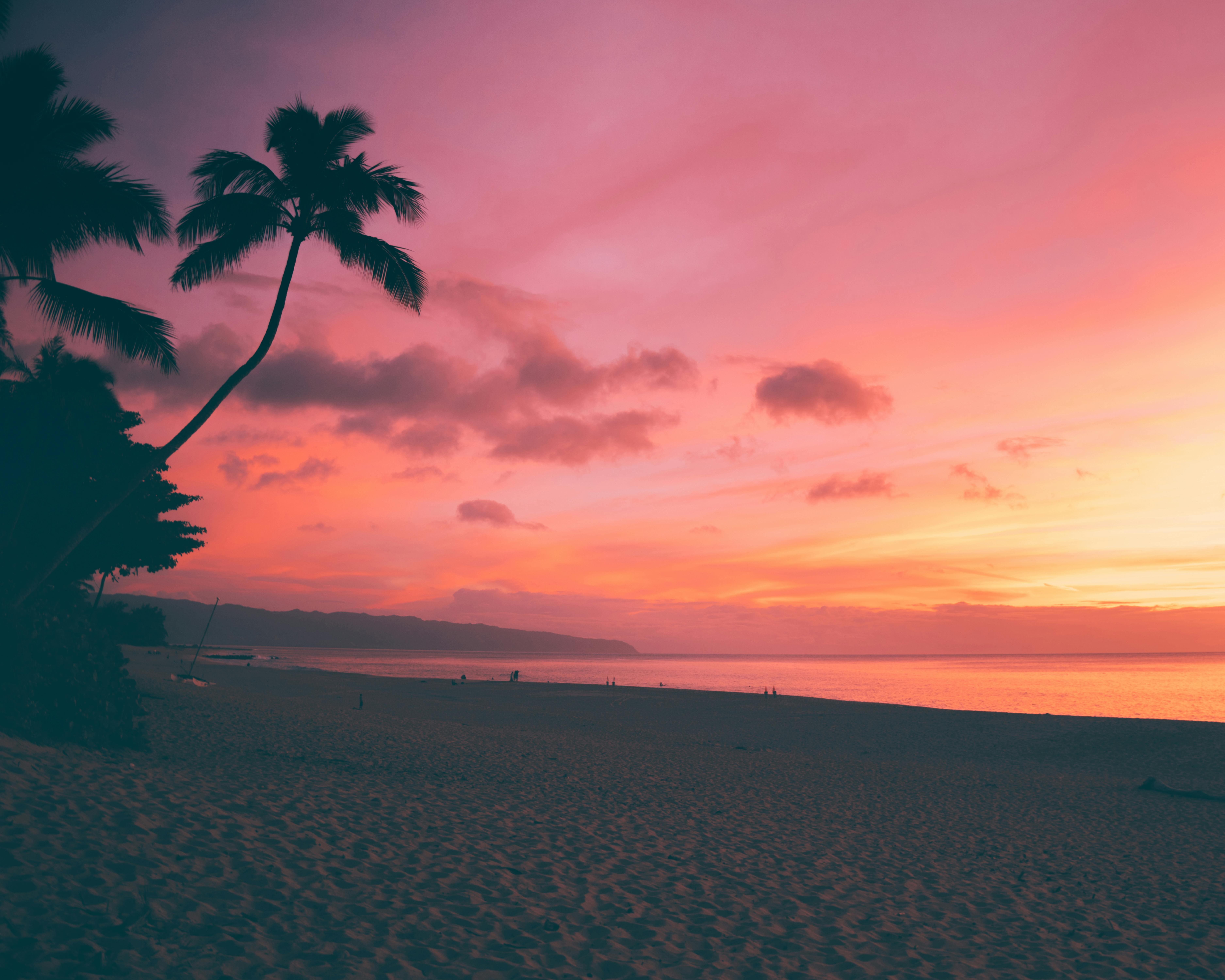 The Coastal Edit